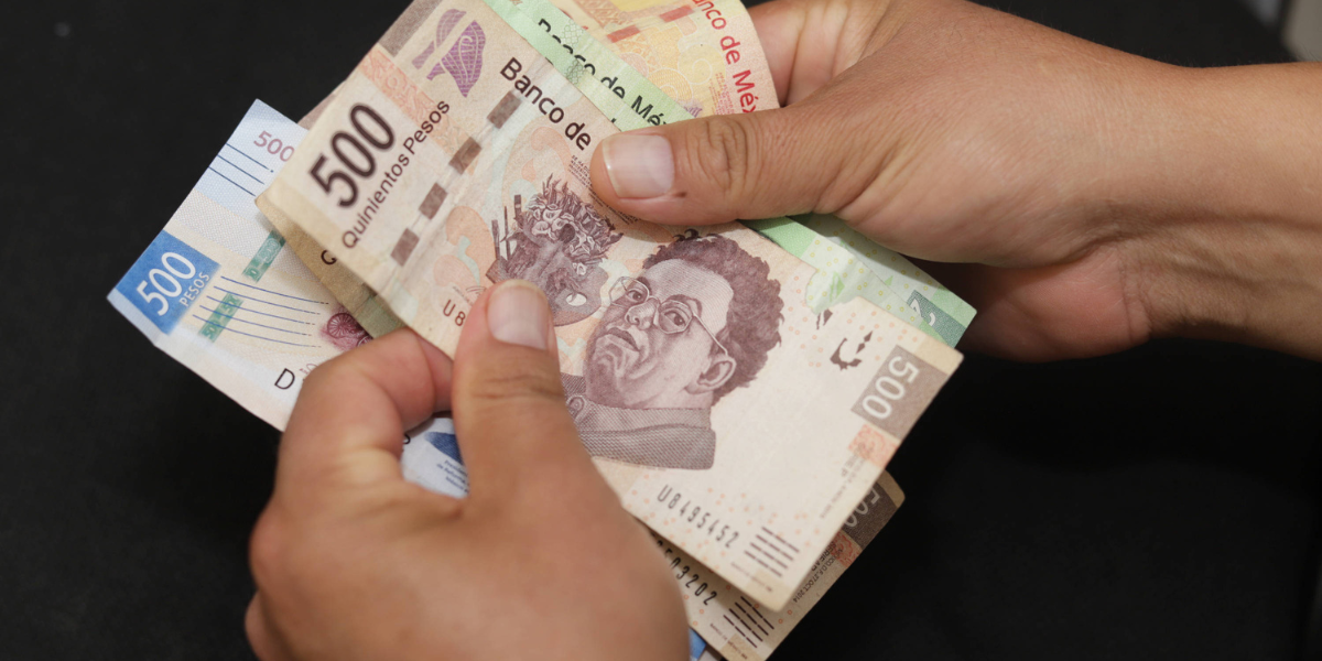 Defraudación fiscal