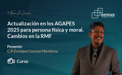 Actualización en los AGAPES 2025 para persona física y moral. Cambios en RMF