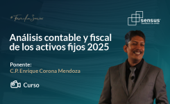 Análisis contable y fiscal de los activos fijos 2025