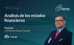 Análisis de los estados financieros