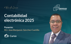 Contabilidad electrónica 2025