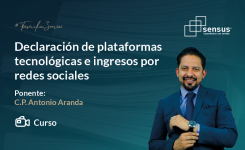 Declaración de plataformas tecnológicas e ingresos por redes sociales