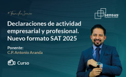 Declaraciones de actividad empresarial y profesional. Nuevo formato SAT 2025