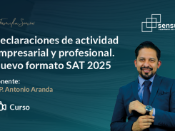 Declaraciones de actividad empresarial y profesional. Nuevo formato SAT 2025
