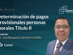 Determinación de pagos provisionales personas morales Título II