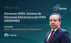 Dictamen IMSS: Sistema de Dictamen Electrónico del IMSS (SIDEIMSS)