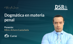 Dogmática en materia penal