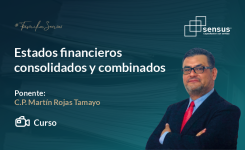 Estados financieros consolidados y combinados
