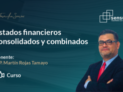 Estados financieros consolidados y combinados