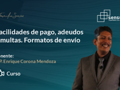Facilidades de pagos, adeudos y multas. Formatos de envío