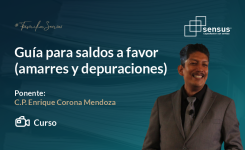 Guías para saldos a favor (amarres y depuraciones)