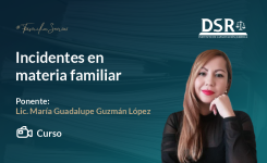Incidentes en materia familiar