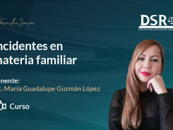 Incidentes en materia familiar