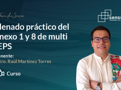 Llenado práctico del anexo 1 y 8 de multi IEPS