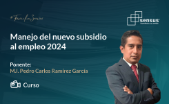 Manejo del nuevo subsidio al empleo 2024