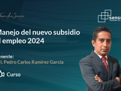 Manejo del nuevo subsidio al empleo 2024