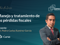 Manejo y tratamiento de las pérdidas fiscales