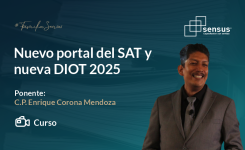 Nuevo portal del SAT y nueva DIOT 2025