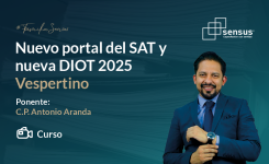 Nuevo portal del SAT y nueva DIOT 2025 Vespertino