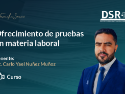 Ofrecimiento de pruebas en materia laboral