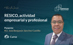 RESICO, actividad empresarial y profesional