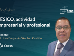 RESICO, actividad empresarial y profesional