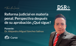 Reforma judicial en materia penal. Perspectiva después de su aprobación ¿Qué sigue?