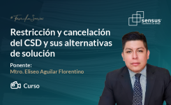 Restricción y cancelación del CSD y sus alternativas de solución