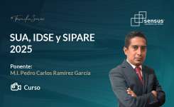 SUA, IDSE y SIPARE 2025