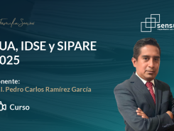 SUA, IDSE y SIPARE 2025