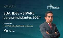 SUA, IDSE y SIPARE 2024