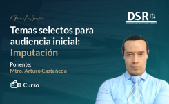 Temas selectos para audiencia inicial: Imputación