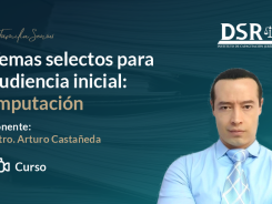 Temas selectos para audiencia inicial: Imputación