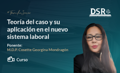 Teoría del caso y su aplicación en el nuevo sistema laboral