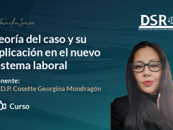 Teoría del caso y su aplicación en el nuevo sistema laboral