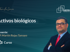 Activos biológicos