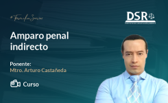 Amparo penal indirecto