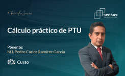 Cálculo práctico de PTU