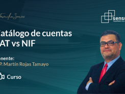 Catálogo de cuentas SAT vs NIF