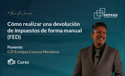 Cómo realizar una devolución de impuestos de forma manual (FED)