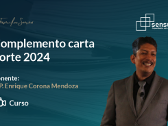 Complemento carta porte 2024