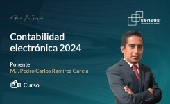 Contabilidad electrónica 2024