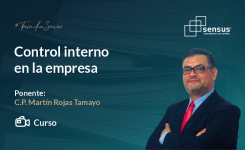 Control interno en la empresa