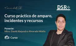 Curso práctico de amparo, incidentes y recursos