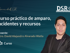 Curso práctico de amparo, incidentes y recursos