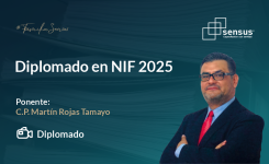 Diplomado en NIF 2025