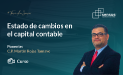 Estado de cambios en el capital contable