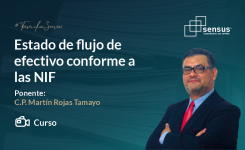 Estado de flujo de efectivo conforme a las NIF