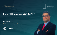 Las NIF en los AGAPES
