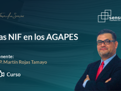 Las NIF en los AGAPES